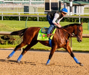 Kentucky Derby 141 contender American Pharoah worked out at Churchill Downs on April 29, 2015