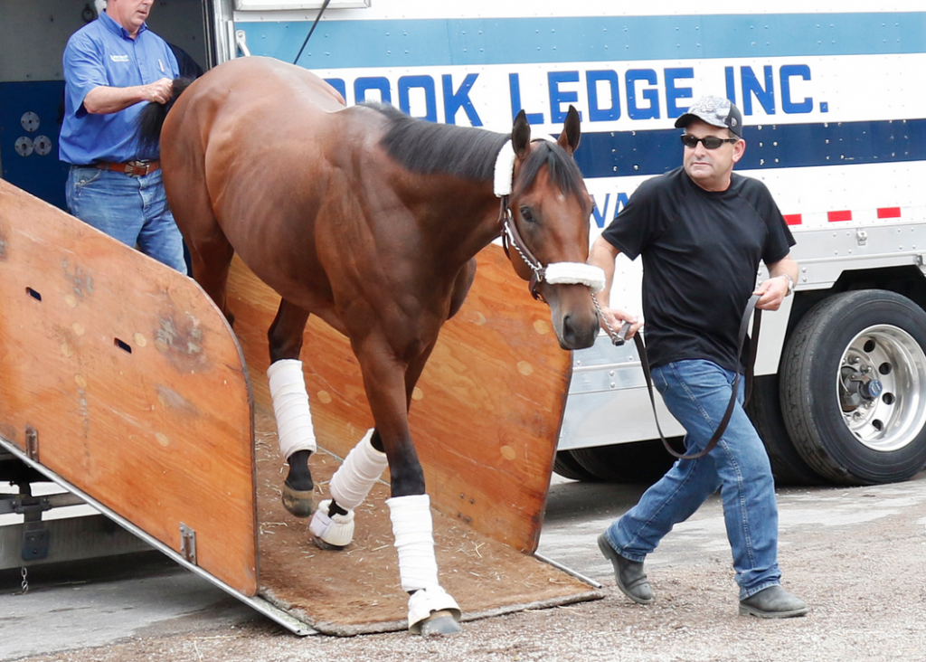 Assistant trainer Jim Barnes led American Pharoah off the van on his return to Churchill Downs (Reed Palmer, Churchill Downs)
