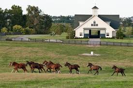 kentucky horse farms for sale