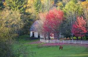 Kentucky Horse Farms for Sale